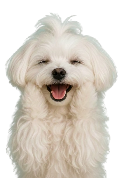Puppy illustration celebrating love and joy